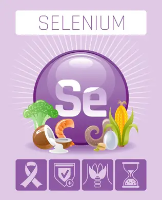 Top 10 Selenium Rich Foods In India