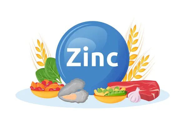 Top 5 Zinc Rich Food Sources for Vegetarians