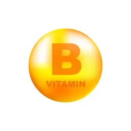 10 Best Vitamin B Foods For Vegetarians