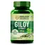 Himalayan Organics Giloy Extract for Immunity