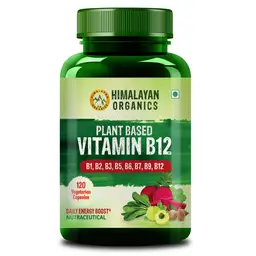 Himalayan Organics Plant Based Vitamin B12 Natural icon