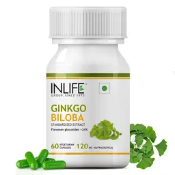 INLIFE - Ginkgo Biloba Extract 120mg (60 Vegetarian Capsules) for Healthy Brain Function icon