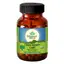 Organic India Liver Kidney Care