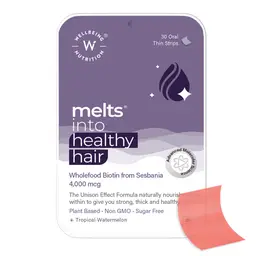 Wellbeing Nutrition -  Melts Healthy Hair - with Biotin, Sesbania, Zinc, Bamboo Extract, Folic acid - for Hair Nourishment, Strength and Thickness icon