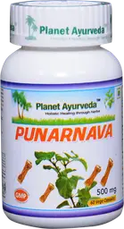 Planet Ayurveda Punarnava Mandur for Maintaining Healthy water content in the body icon