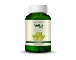 Bio Resurge - Amla Tablets - Vitamin C for Strong Immunity and Promote Healthy Hair & Skin -60 Tablets icon