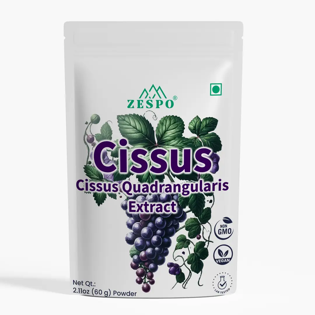 Zespo Organic Cisus Powder for Joint Support - 60 gm