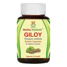 Maha Herbals - Giloy Extract Capsules - With Tinospora cordifolia - For Enhancing Cognitive Functions