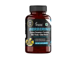 Humming Herbs Berberine Hcl Supplements | Combination Of Ceylon Cinnamon, Turmeric, Milk Thistle And Bitter Melon Extract - 90 Capsules icon