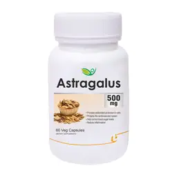 Biotrex Nutraceuticals - Astragalus 500mg icon