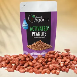 Honestly Organic - Activated Organic Peanuts - with Mildly Salted - for Weight Gaining icon