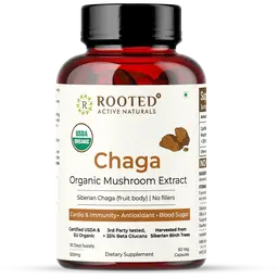 Rooted Active Naturals Chaga Mushroom Extract for Antioxidant and Vitality Support